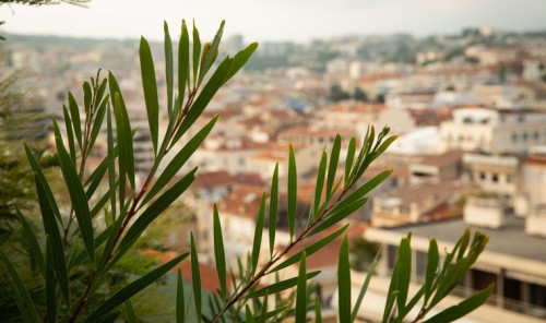 V Международный юридический форум «Современные проблемы права и экономики в Европе и Азии»