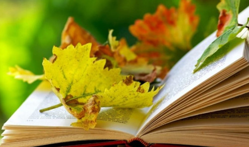 Поздравление ректора А.О. Аракеловой с днем учителя!